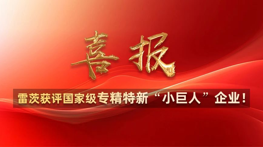 喜報：雷茨獲評國家級專精特新“小巨人”企業(yè)！